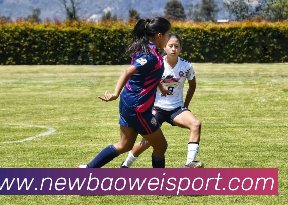 宝威体育APP 封面图